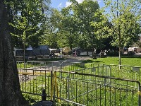 Skandalozne uvrede: Prva interakcija sa "akademskim" građanima Ćacilenda