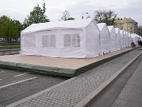 Krompir iz Pionirskog parka