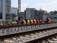 Posao kojim se niko ne bavi: Koje delatnosti u Srbiji imaju najmanje registrovanih firmi