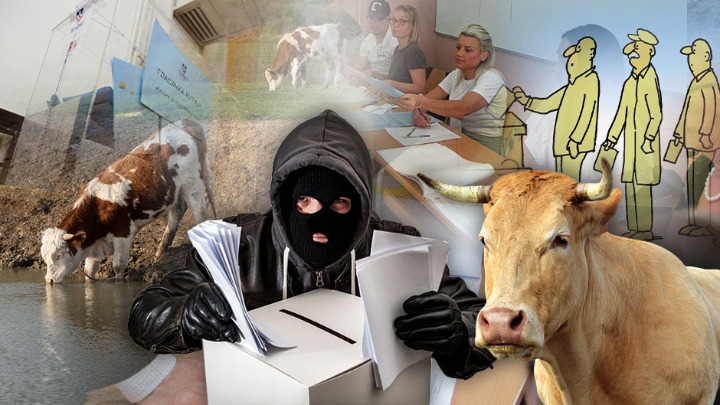 OD BIRAČA PA SVE DO KRAVA Zašto SNS voli FANTOME?