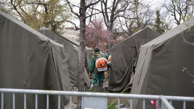 "NEPOVRATNA devastacija": Biolozi zabrinuti i nemoćni zbog ćacilenda