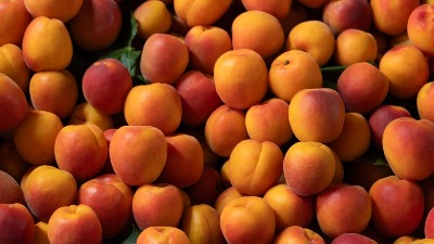 Breskva ili kajsija, šta je zdravije? Jedan veoma bitan vitamin je KLJUČAN 