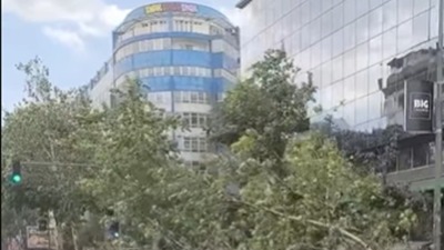 Oluja ČUPA STABLA: Jako nevreme zahvatilo Srbiju (FOTO/VIDEO)