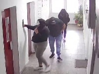 Lopovi haraju Beogradom: Zvone na vrata, dok ne provale prazan stan (FOTO)
