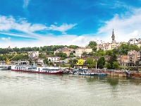 Beograd ima novu atrakciju, zove se Živko, i strani turisti su ludi za njim (VIDEO)