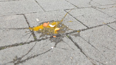 Koordinator SNS pokazao srednji prst, građani zasuli zgradu jajima