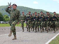 Šta se desilo sa obaveznim vojnim rokom u Srbiji?