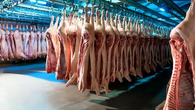 Inspekcija zatekla UŽAS u srpskoj klanici Inspekcija zatekla UŽAS u srpskoj klanici