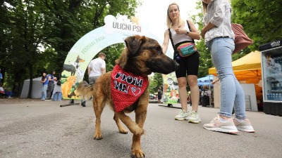 Pravo na Kalemegdan po dozu endorfina! Festival Ulični psi spremio je bogat program za ljubitelje veselih repića