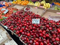 Kukamo na seljaka: Sramimo se onoga što smo prestali da budemo
