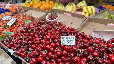 Kukamo na seljaka: Sramimo se onoga što smo prestali da budemo