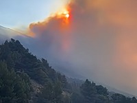 Požar guta Dalmaciju: Meštani spasavaju kuće, turisti beže, "SVE je ugroženo" (FOTO/VIDEO)