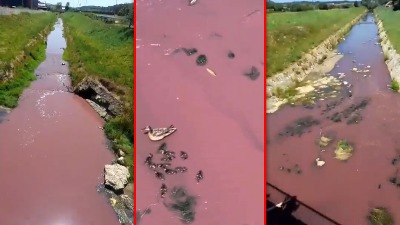 “Neće ostati ni ona jedna šljiva”: Mrežama kruži ŠOKANTAN snimak reke Jadar nakon probnih kopanja (VIDEO)
