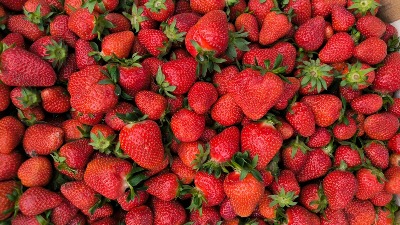 Stigle su prve jagode: Cena ostavila kupce bez reči