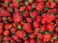 Šta se dešava sa vašim telom ako jedete jagode svaki dan: Dobre su za srce, ali mogu dovesti do nelagodnosti u varenju