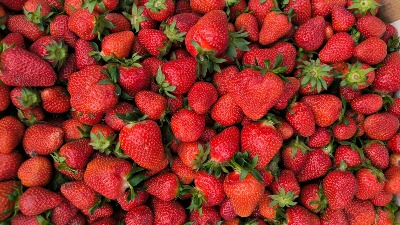 Šta se dešava sa vašim telom ako jedete jagode svaki dan: Dobre su za srce, ali mogu dovesti do nelagodnosti u varenju