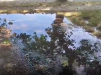 U Mladenovcu voda curila više od 50 sati, posle popravke nastala POPLAVA (VIDEO)