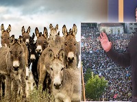 PREDSEDNIK VUČIĆ PREBROJAVA Koliko MAGARACA Srbija ima u ovom trenutku