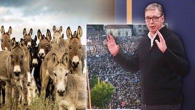 PREDSEDNIK VUČIĆ PREBROJAVA Koliko MAGARACA Srbija ima u ovom trenutku