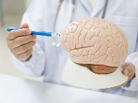 Neurolog otkriva 3 VRSTE HRANE koje nikad ne konzumira: Jednu od njih SRBI ČESTO JEDU - "Možete dobiti moždane parazite"