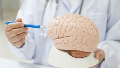 Neurolog otkriva 3 VRSTE HRANE koje nikad ne konzumira: Jednu od njih SRBI ČESTO JEDU - "Možete dobiti moždane parazite"