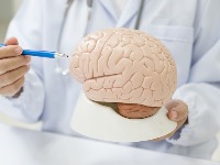 40 godina proučavao ljudski mozak: Ovo je NAVIKA broj 1 koju treba da usvojite 