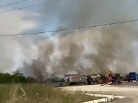 Veliki požar u Batajnici, vatra se brzo širi (VIDEO)