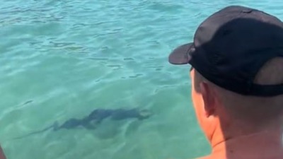 Turiste prepala velika riba na Jadranu (VIDEO)