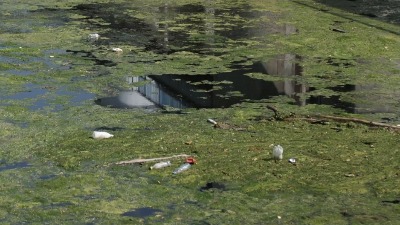 Jezero Parmenac, odakle se vodom snabdeva i Čačak, puno algi i smeća