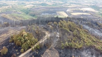 ČEMER I JAD Snimak nad šumom u Srbiji pokazuje šta je od nje ostalo (VIDEO)