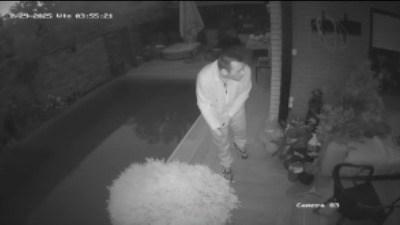 "Pink Panter sa Temua": Lopov snimljen dok se šunja u Novom Sadu, postao zvezda zbog "nesposobnosti" (VIDEO)