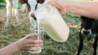 NLS: Srbija će ostati bez domaćeg mleka