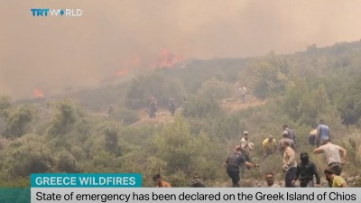 Panika u Grčkoj: Požar BUKTI u poznatom letovalištu