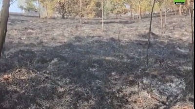 Veliki šumski požar zahvatio delove sela Koštunići (VIDEO)