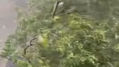 Nevreme se sručilo na Srbiju: Evo ko je bio na udaru (VIDEO)