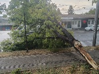 Srbiji preti OLUJNI VETAR: Očekuju se udari od 80 km na sat!