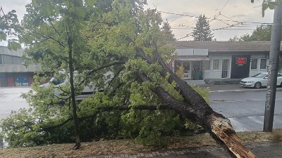 Srbiji preti OLUJNI VETAR: Očekuju se udari od 80 km na sat!