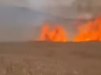 Buknuo požar na Suvoj planini: Vatra se širi (VIDEO)