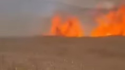 Buknuo požar na Suvoj planini: Vatra se širi (VIDEO)