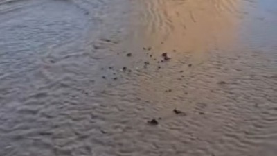 HAVARIJA Pucanje cevi u više ulica, POTOP kod Bogoslovije (VIDEO)