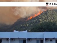 Bukti požar iznad Čanja: Vatra se proširila od zapaljenog auta?! (VIDEO)
