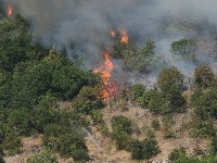 Požari u Crnoj Gori ne jenjavaju (FOTO)