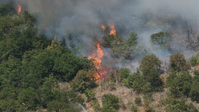 Požari u Crnoj Gori ne jenjavaju (FOTO)