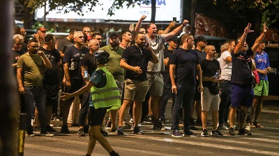 Sa fantomkom na izbore: Sa koliko batinaša raspolaže SNS?