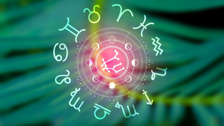 Zodijak ima samo jednog genija! Svi ostali znakovi mu se DIVE 