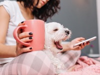 Zašto psi laju na neke ljude, a druge potpuno ignorišu? Stručnjaci imaju ODGOVOR