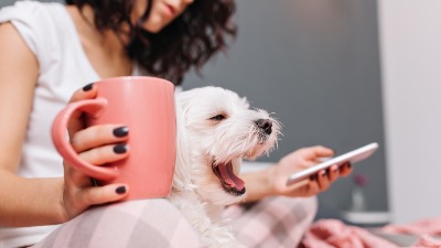 Zašto psi laju na neke ljude, a druge potpuno ignorišu? Stručnjaci imaju ODGOVOR