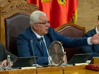 Bratanac Andrije Mandića OSUĐEN na godinu dana ZATVORA