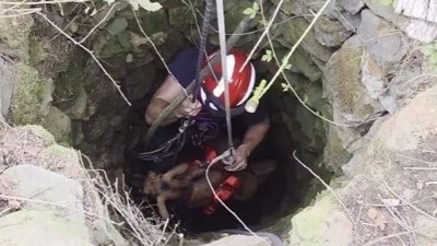 Humanost vatrogasca na delu: Spasili kozu iz bunara (VIDEO)