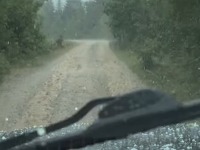 Zabelela se Crna Gora (VIDEO)